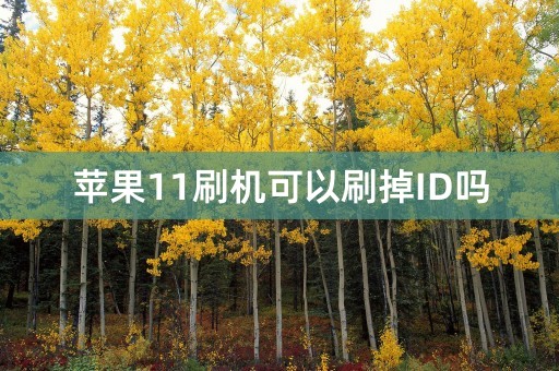 苹果11刷机可以刷掉ID吗