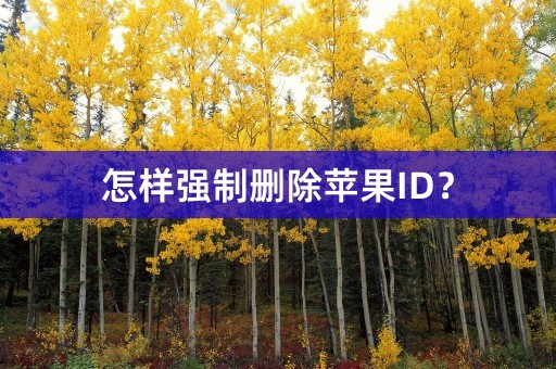 怎样强制删除苹果ID？