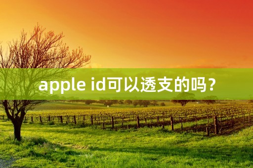 apple id可以透支的吗？