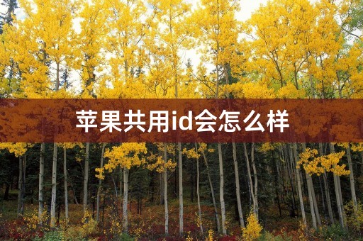 苹果共用id会怎么样