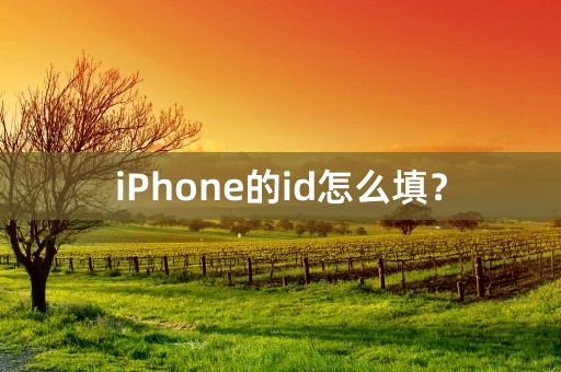 iPhone的id怎么填？