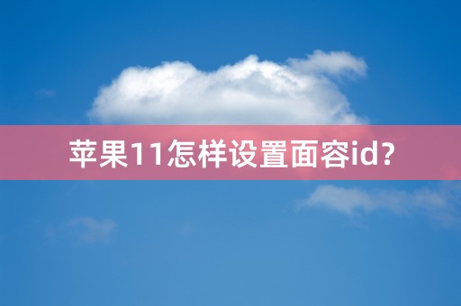 苹果11怎样设置面容id？