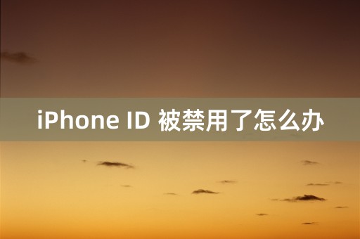 iPhone ID 被禁用了怎么办