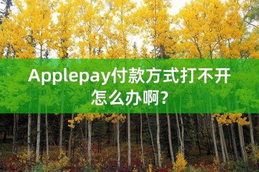 Applepay付款方式打不开怎么办啊？