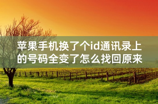 苹果手机换了个id通讯录上的号码全变了怎么找回原来的