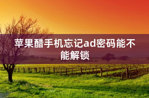 苹果醋手机忘记ad密码能不能解锁