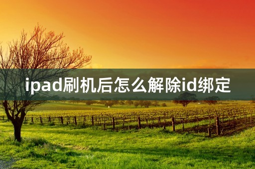 ipad刷机后怎么解除id绑定