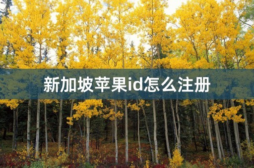 新加坡苹果id怎么注册