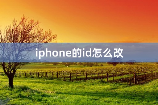 iphone的id怎么改