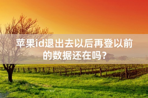 苹果id退出去以后再登以前的数据还在吗？