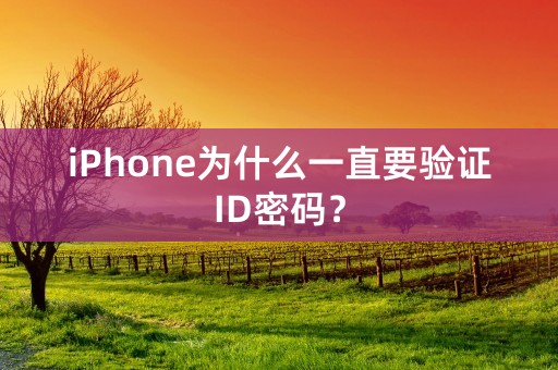 iPhone为什么一直要验证ID密码？