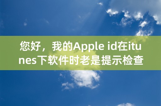 您好，我的Apple id在itunes下软件时老是提示检查账户，最后一步过不去 怎么办 好着急呀