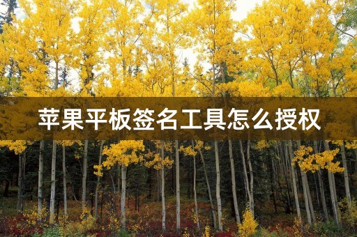 苹果平板签名工具怎么授权