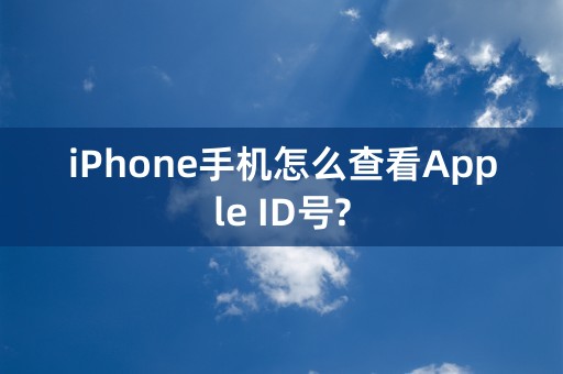 iPhone手机怎么查看Apple ID号?