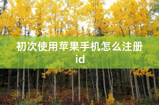 初次使用苹果手机怎么注册id