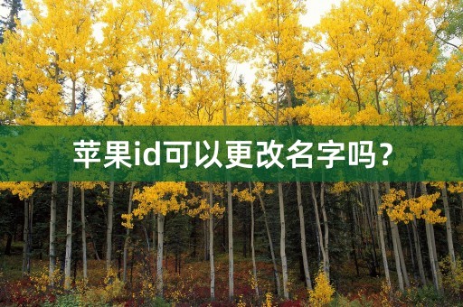 苹果id可以更改名字吗？