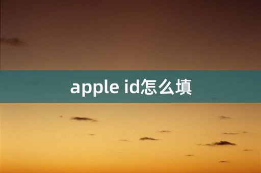 apple id怎么填