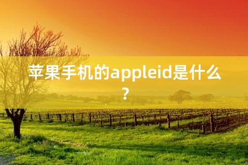 苹果手机的appleid是什么？