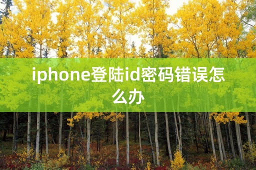 iphone登陆id密码错误怎么办