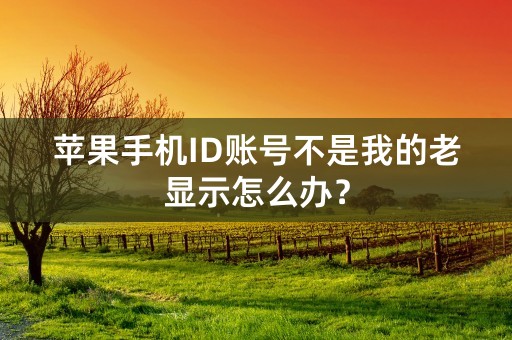 苹果手机ID账号不是我的老显示怎么办？