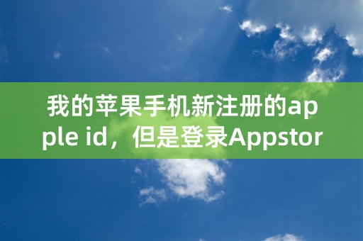 我的苹果手机新注册的apple id，但是登录Appstore时候要检查账户到这一步