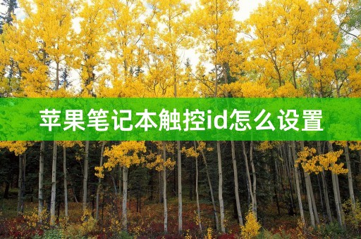 苹果笔记本触控id怎么设置