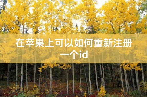 在苹果上可以如何重新注册一个id