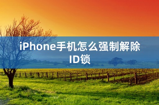 iPhone手机怎么强制解除ID锁