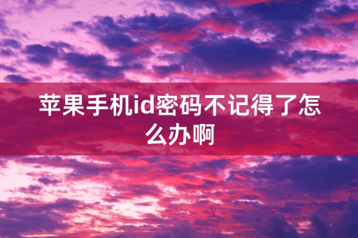 苹果手机id密码不记得了怎么办啊