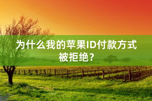 为什么我的苹果ID付款方式被拒绝？