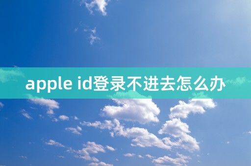 apple id登录不进去怎么办