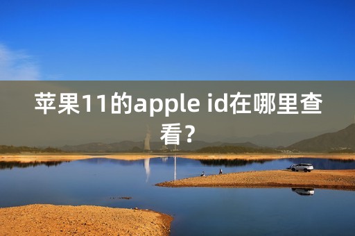 苹果11的apple id在哪里查看？