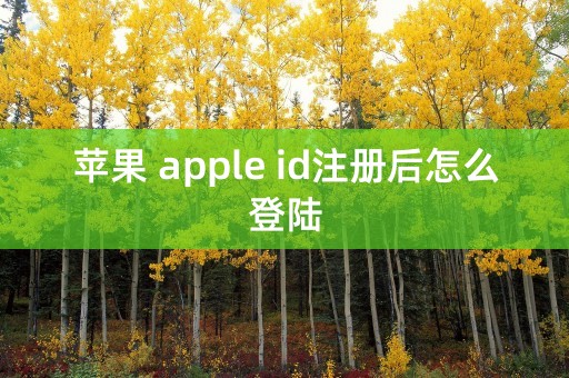 苹果 apple id注册后怎么登陆