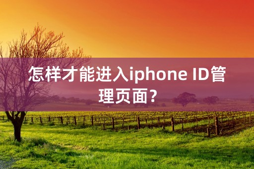 怎样才能进入iphone ID管理页面？