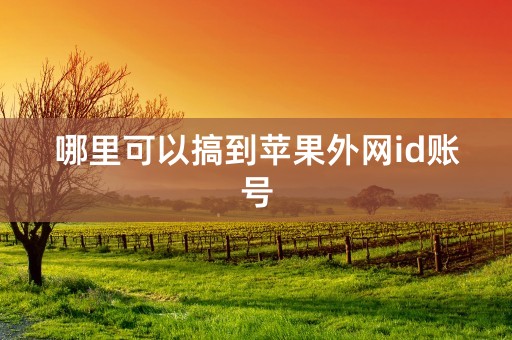 哪里可以搞到苹果外网id账号