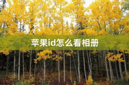 苹果id怎么看相册