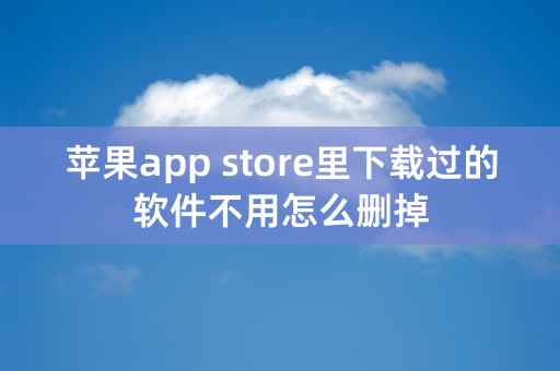 苹果app store里下载过的软件不用怎么删掉