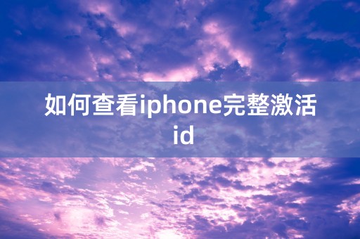 如何查看iphone完整激活 id