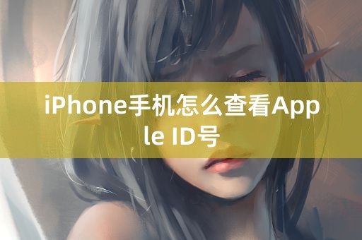 iPhone手机怎么查看Apple ID号