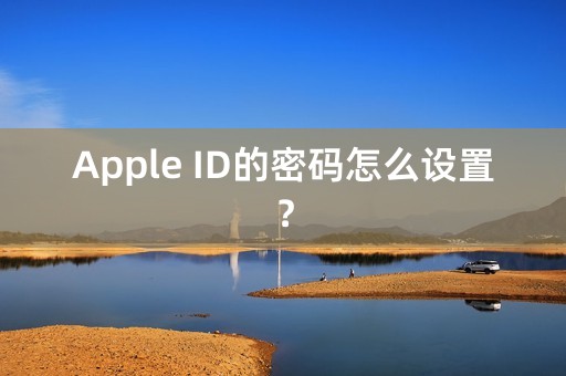 Apple ID的密码怎么设置？