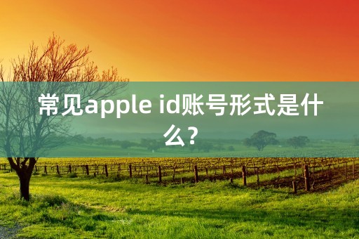 常见apple id账号形式是什么？