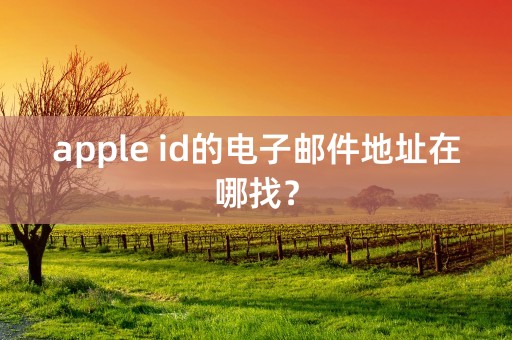 apple id的电子邮件地址在哪找？