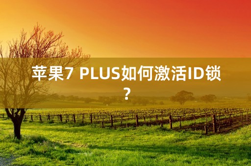 苹果7 PLUS如何激活ID锁？