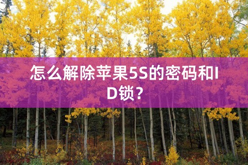 怎么解除苹果5S的密码和ID锁？