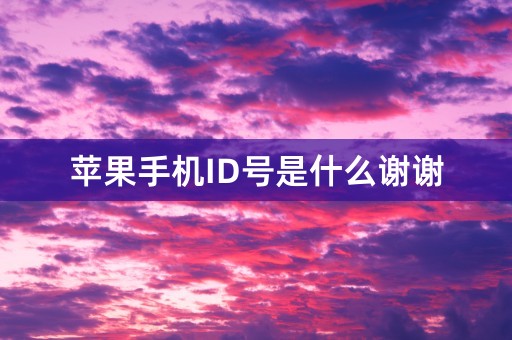 苹果手机ID号是什么谢谢