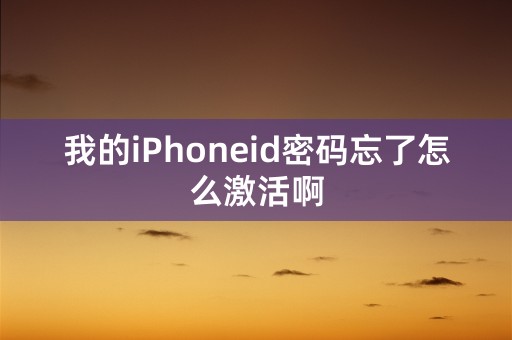 我的iPhoneid密码忘了怎么激活啊