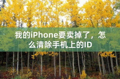 我的iPhone要卖掉了，怎么清除手机上的ID