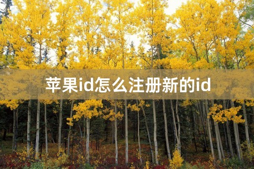 苹果id怎么注册新的id