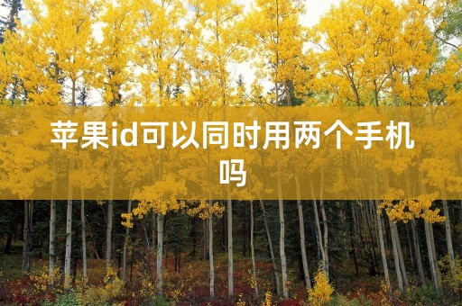 苹果id可以同时用两个手机吗