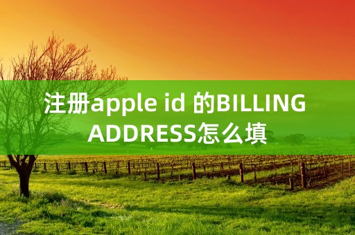 注册apple id 的BILLING ADDRESS怎么填